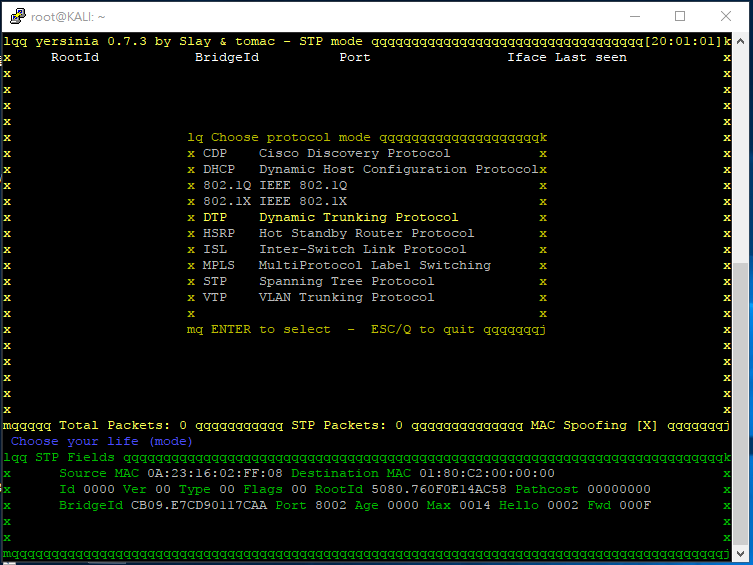 vlan-attack