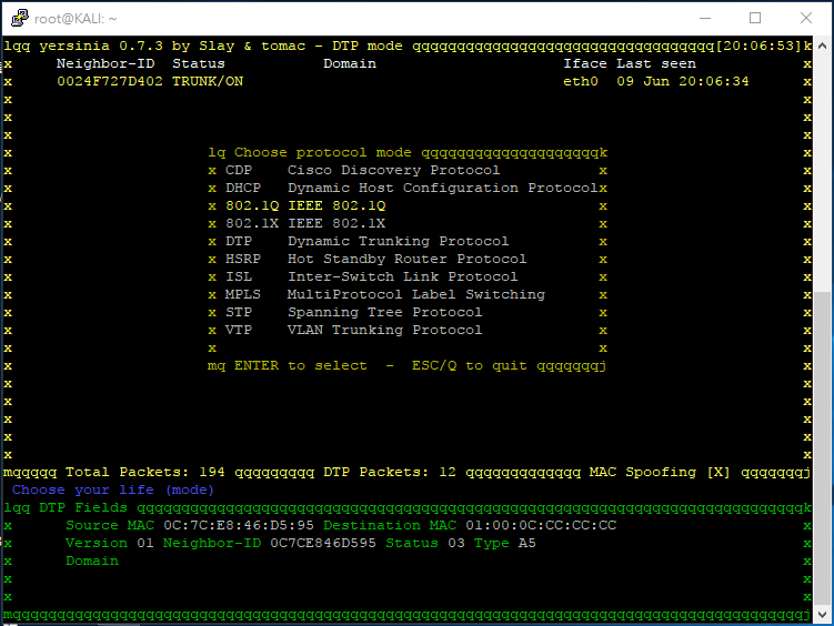 vlan-attack